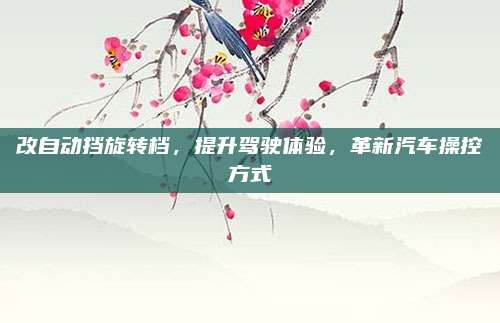 改自动挡旋转档,提升驾驶体验,革新汽车操控方式