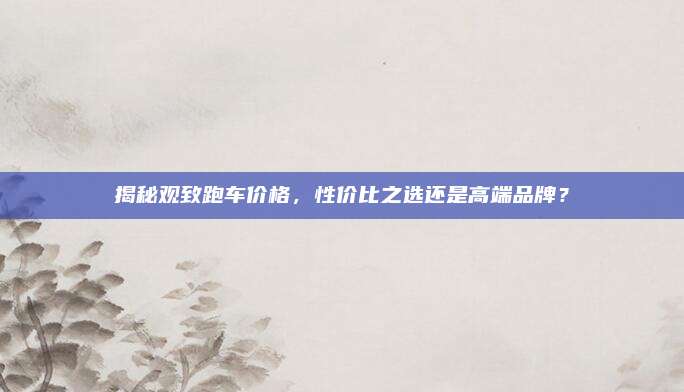揭秘观致跑车价格,性价比之选还是高端品牌?