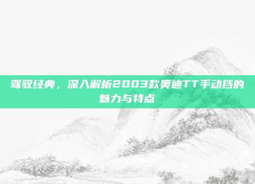 驾驭经典,深入解析2003款奥迪TT手动挡的魅力与特点