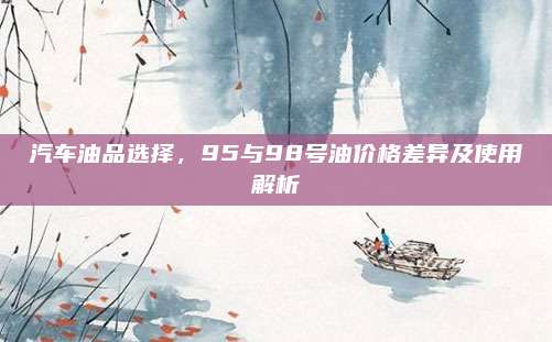 汽车油品选择,95与98号油价格差异及使用解析