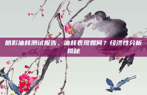 皓影油耗测试报告,油耗表现如何?经济性分析揭秘
