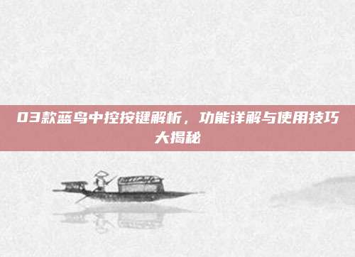 03款蓝鸟中控按键解析，功能详解与使用技巧大揭秘