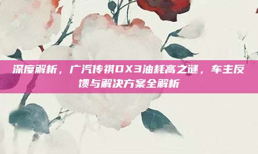 深度解析，广汽传祺DX3油耗高之谜，车主反馈与解决方案全解析