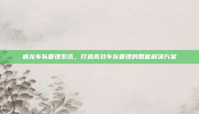 威龙车队管理系统,打造高效车队管理的智能解决方案