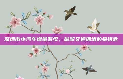 深圳市小汽车增量系统,破解交通拥堵的金钥匙