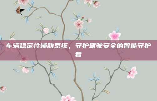车辆稳定性辅助系统,守护驾驶安全的智能守护者