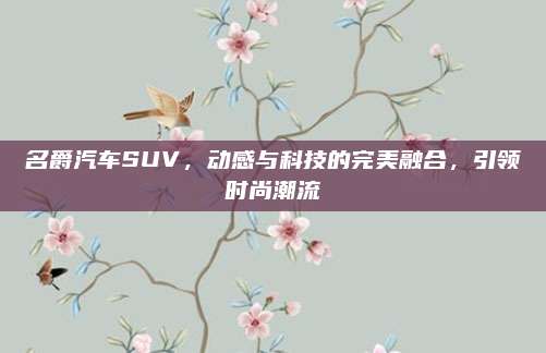 名爵汽车SUV,动感与科技的完美融合,引领时尚潮流