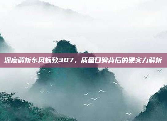 深度解析东风标致307,质量口碑背后的硬实力解析