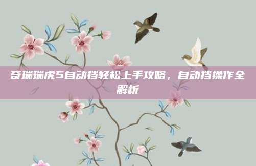 奇瑞瑞虎5自动挡轻松上手攻略,自动挡操作全解析