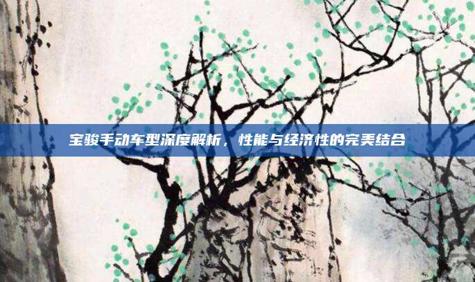 宝骏手动车型深度解析,性能与经济性的完美结合
