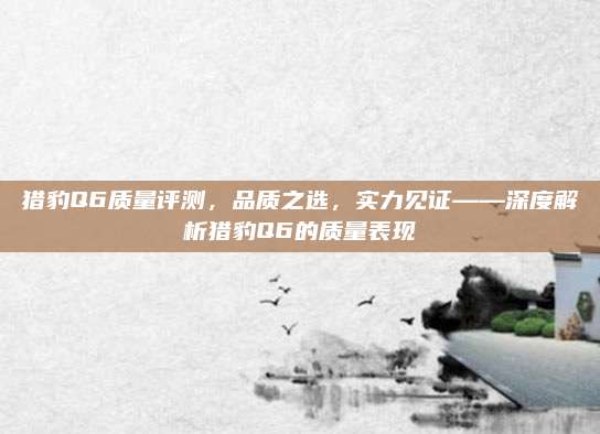 猎豹Q6质量评测,品质之选,实力见证——深度解析猎豹Q6的质量表现