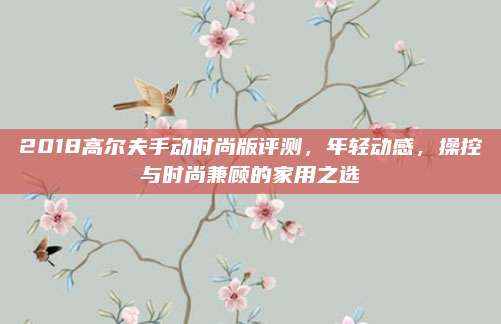 2018高尔夫手动时尚版评测,年轻动感,操控与时尚兼顾的家用之选