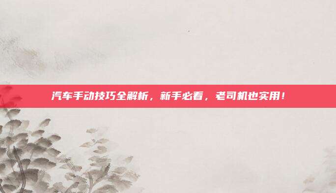 汽车手动技巧全解析,新手必看,老司机也实用!