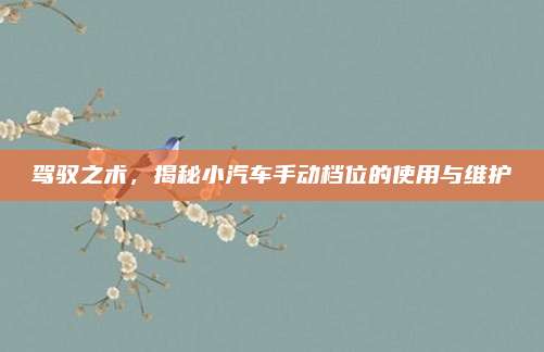驾驭之术,揭秘小汽车手动档位的使用与维护
