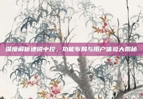 深度解析速锐中控,功能布局与用户体验大揭秘