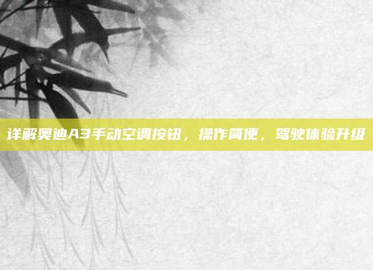 详解奥迪A3手动空调按钮,操作简便,驾驶体验升级