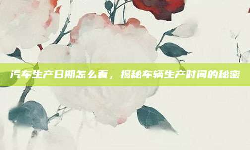 汽车生产日期怎么看,揭秘车辆生产时间的秘密