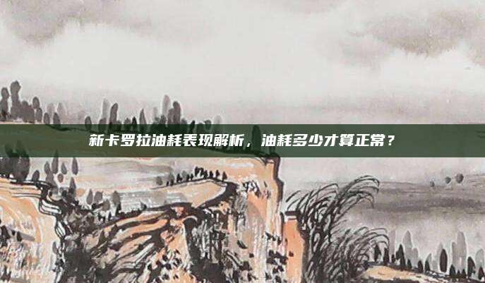 新卡罗拉油耗表现解析,油耗多少才算正常?
