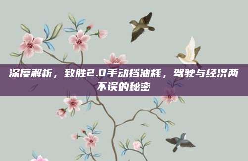 深度解析,致胜2.0手动挡油耗,驾驶与经济两不误的秘密