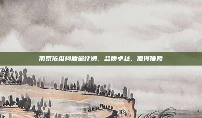 南京依维柯质量评测,品质卓越,值得信赖