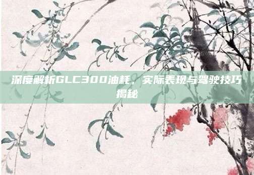 深度解析GLC300油耗,实际表现与驾驶技巧揭秘