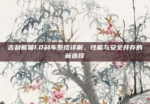 吉利熊猫1.0刹车系统详解,性能与安全并存的新选择