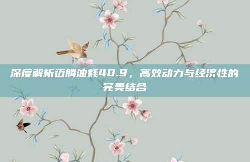 深度解析迈腾油耗40.9,高效动力与经济性的完美结合
