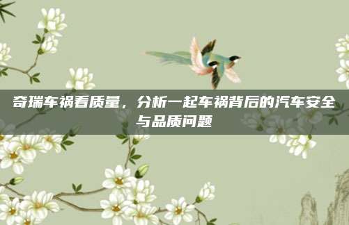奇瑞车祸看质量,分析一起车祸背后的汽车安全与品质问题