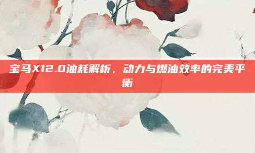 宝马X12.0油耗解析,动力与燃油效率的完美平衡