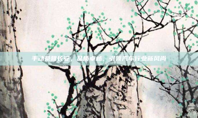 手动豪雅长安,品质卓越,引领汽车行业新风尚