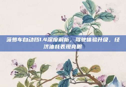 菠萝车自动挡1.4深度解析,驾驶体验升级,经济油耗表现亮眼