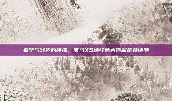 奢华与舒适的碰撞,宝马X5棕红色内饰解析及评测