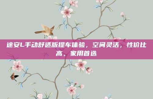 途安L手动舒适版提车体验,空间灵活,性价比高,家用首选