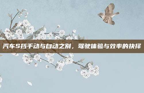汽车S挡手动与自动之别,驾驶体验与效率的抉择