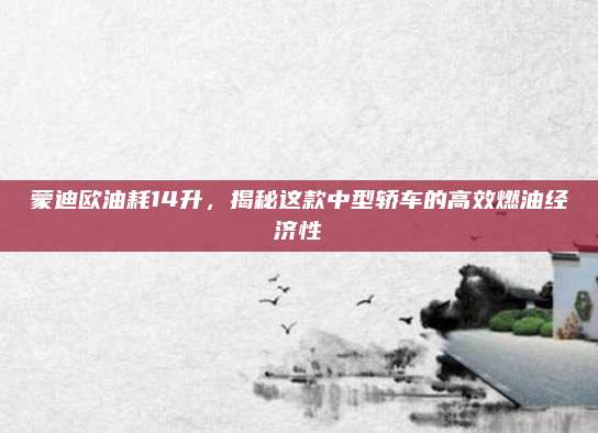 蒙迪欧油耗14升,揭秘这款中型轿车的高效燃油经济性