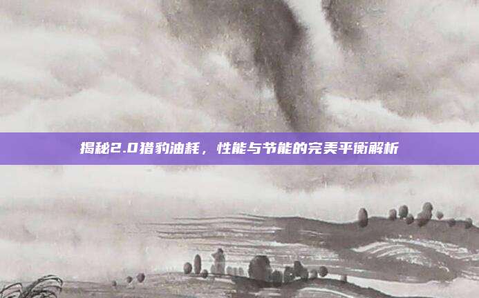 揭秘2.0猎豹油耗,性能与节能的完美平衡解析