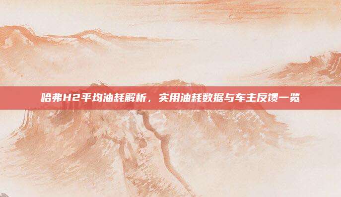 哈弗H2平均油耗解析,实用油耗数据与车主反馈一览