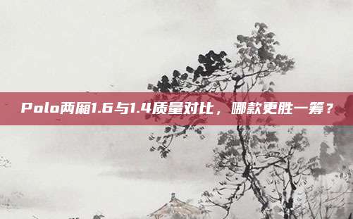 Polo两厢1.6与1.4质量对比,哪款更胜一筹?