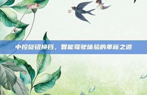 中控旋钮换挡,智能驾驶体验的革新之道
