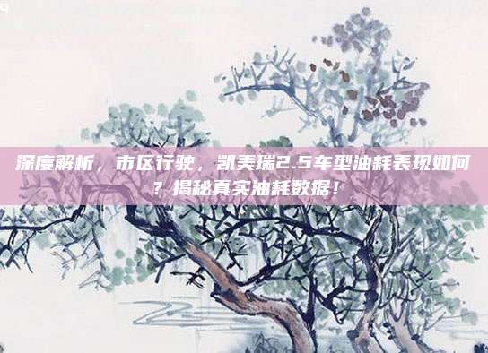 深度解析,市区行驶,凯美瑞2.5车型油耗表现如何?揭秘真实油耗数据!