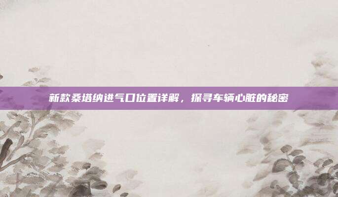 新款桑塔纳进气口位置详解,探寻车辆心脏的秘密