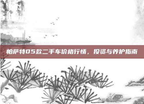 帕萨特05款二手车价格行情，投资与养护指南