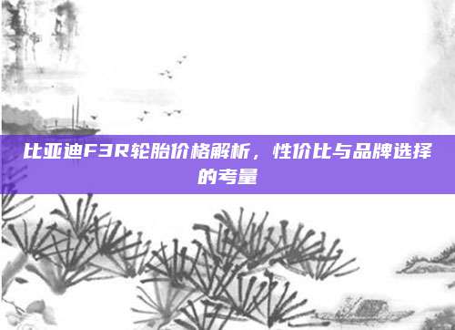 比亚迪F3R轮胎价格解析,性价比与品牌选择的考量