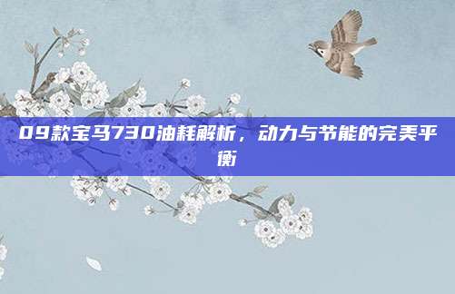 09款宝马730油耗解析,动力与节能的完美平衡