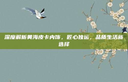 深度解析黄海皮卡内饰,匠心独运,品质生活新选择
