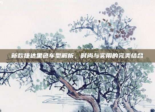 新款捷达黑色车型解析,时尚与实用的完美结合