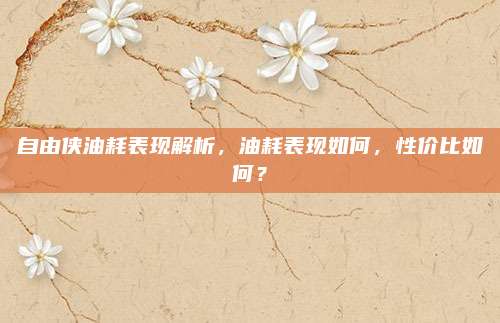 自由侠油耗表现解析,油耗表现如何,性价比如何?