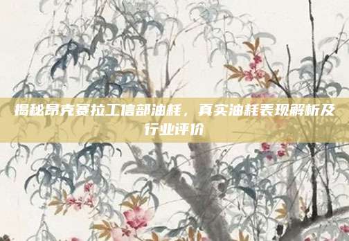 揭秘昂克赛拉工信部油耗,真实油耗表现解析及行业评价