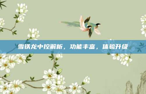 雪铁龙中控解析,功能丰富,体验升级