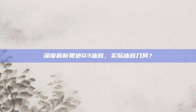 深度解析奥迪Q3油耗,实际油耗几何?